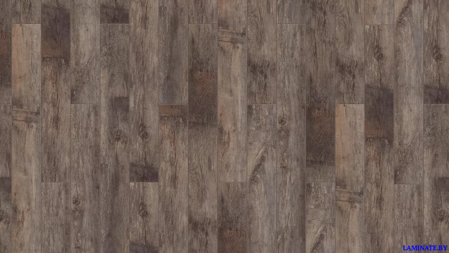 Ламинат Tarkett Timber Forester Дуб Альгеро в Минске | Laminate.by