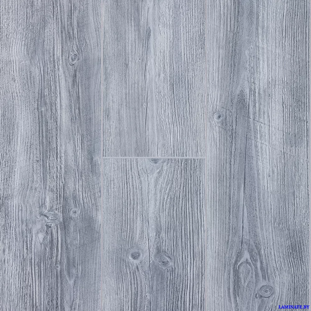 Ламинат Kastamonu Malva Дуб Саванна FP303 в Минске | Laminate.by