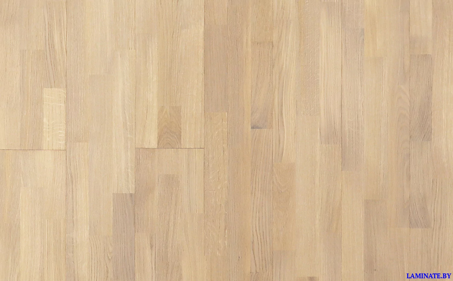 Паркетная доска Polarwood Дуб Premium Vega Matt 3S