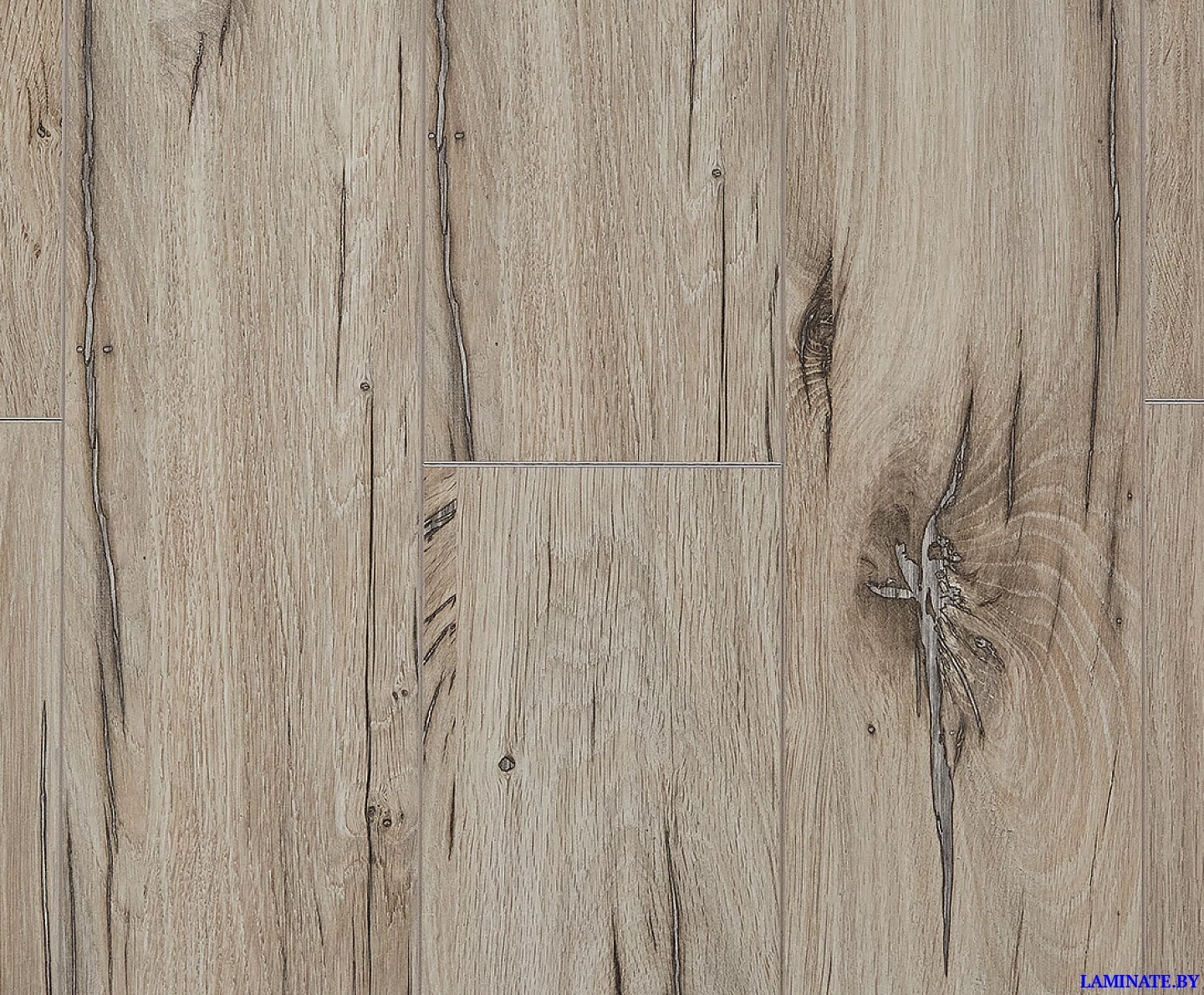 Ламинат Kastamonu Sunfloor Дуб Звезда Северная SF63 в Минске | Laminate.by