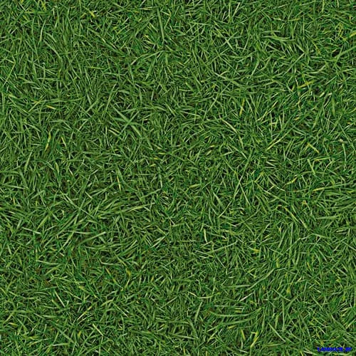 Линолеум IVC Neo Grass 025