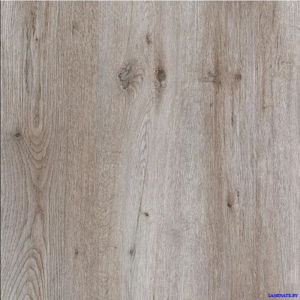Ламинат Kastamonu Sunfloor Дуб Атлас Грей 44 в Минске | Laminate.by