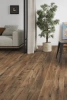 картинка Линолеум IVC Greenline Дуб Имбирный 46 от магазина напольных покрытий laminate.by